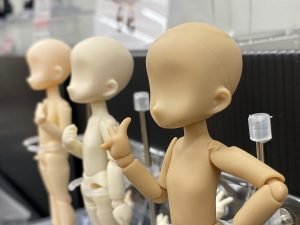 poupee azone picco neemo p4 doll show